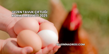 Gezen Tavuk Çiftliği Kurma Maliyeti 2025