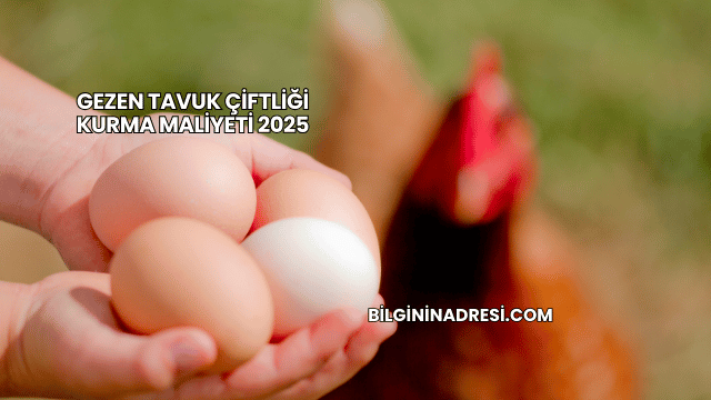 Gezen Tavuk Çiftliği Kurma Maliyeti 2025