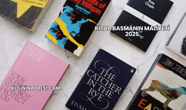 Kitap Basmanın Maliyeti 2025