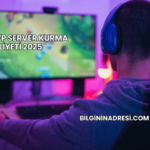 Metin2 PVP Server Kurma Maliyeti 2025