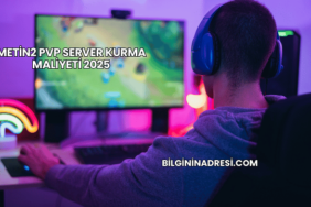 Metin2 PVP Server Kurma Maliyeti 2025