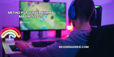 Metin2 PVP Server Kurma Maliyeti 2025