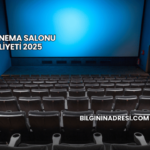 Mini Sinema Salonu Maliyeti 2025