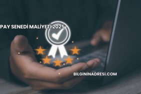 Pay Senedi Maliyeti 2025