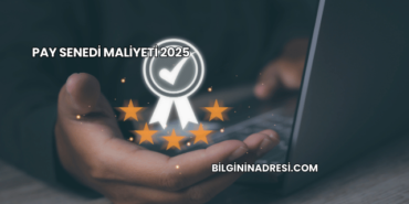 Pay Senedi Maliyeti 2025