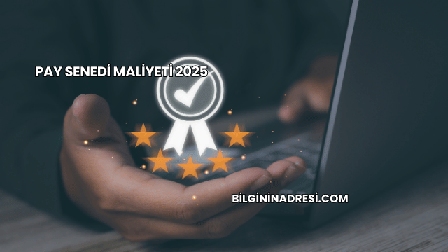 Pay Senedi Maliyeti 2025