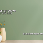 Perde Beton Duvar Maliyeti 2025