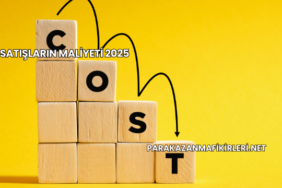 Satışların Maliyeti 2025