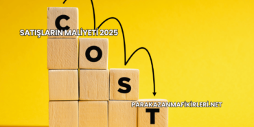 Satışların Maliyeti 2025