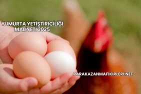 Yumurta Yetiştiriciliği Maliyeti 2025