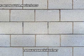 1 M2 Beton Duvar Maliyeti 2025