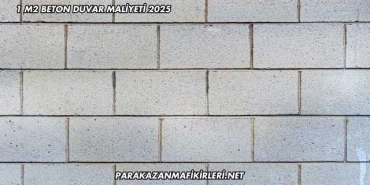 1 M2 Beton Duvar Maliyeti 2025