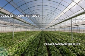 100 M2 Sera Maliyeti 2025