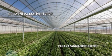 100 M2 Sera Maliyeti 2025