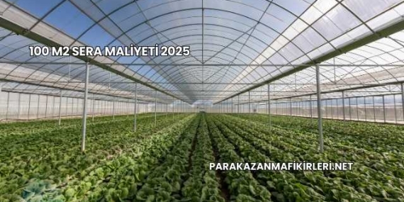 100 M2 Sera Maliyeti 2025