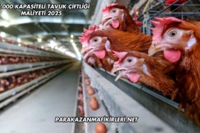 20.000 Kapasiteli Tavuk Çiftliği Maliyeti 2025