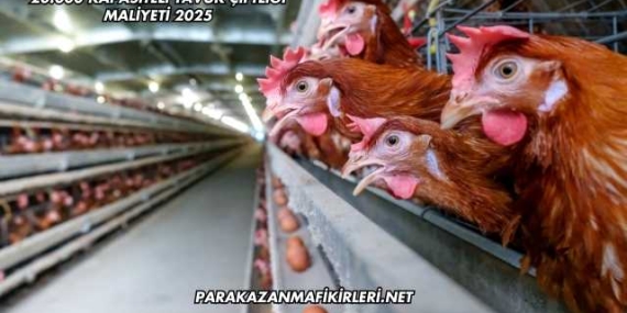 20.000 Kapasiteli Tavuk Çiftliği Maliyeti 2025
