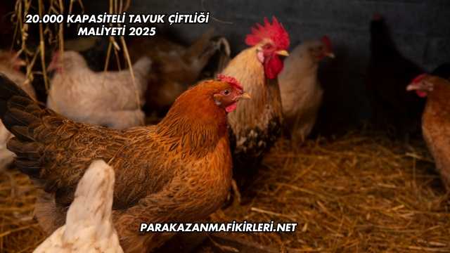 20.000 Kapasiteli Tavuk Çiftliği Maliyeti 2025
