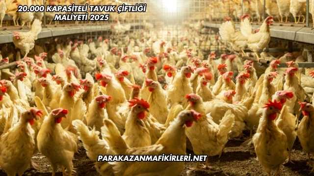 20.000 Kapasiteli Tavuk Çiftliği Maliyeti 2025