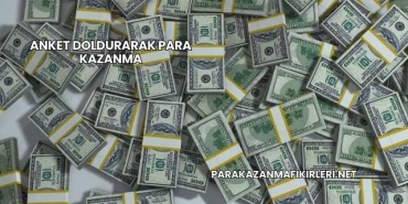 Anket Doldurarak Para Kazanma
