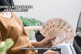 Çeviri Yaparak Para Kazanma 2025