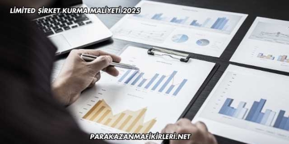 Limited Şirket Kurma Maliyeti 2025