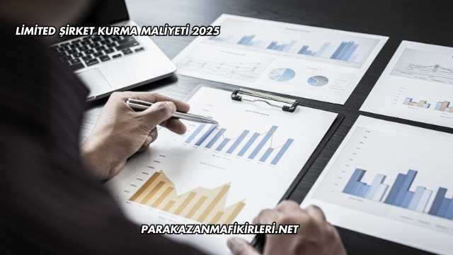 Limited Şirket Kurma Maliyeti 2025