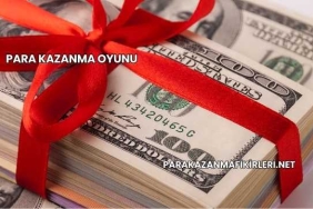 Para Kazanma Oyunu