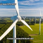 Rüzgar Gülü Maliyeti 2025