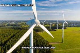 Rüzgar Gülü Maliyeti 2025