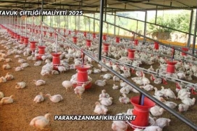 Tavuk Çiftliği Maliyeti 2025