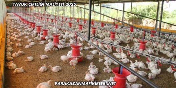 Tavuk Çiftliği Maliyeti 2025