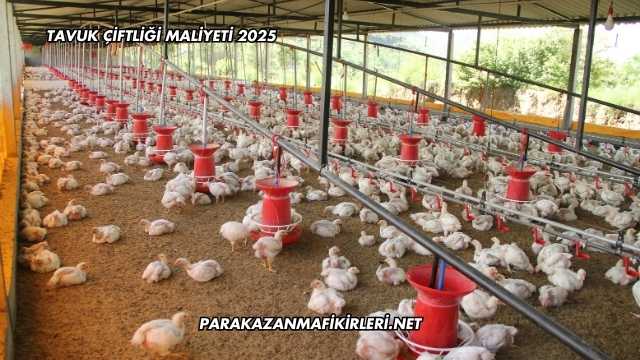 Tavuk Çiftliği Maliyeti 2025