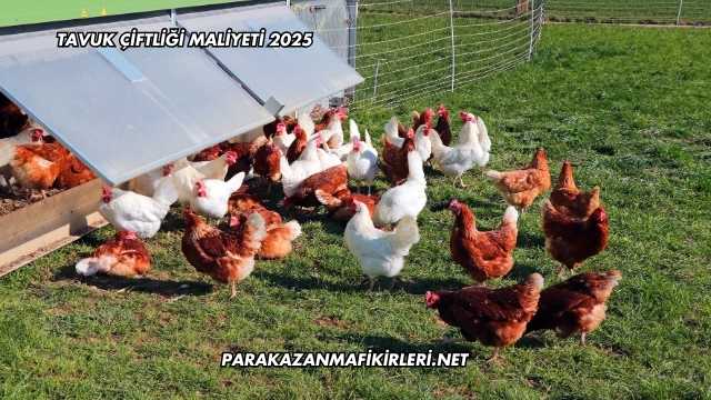 Tavuk Çiftliği Maliyeti 2025