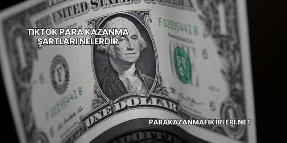 TikTok Para Kazanma Şartları Nelerdir