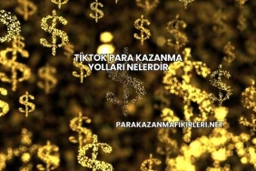 TikTok Para Kazanma Yolları Nelerdir