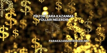 TikTok Para Kazanma Yolları Nelerdir