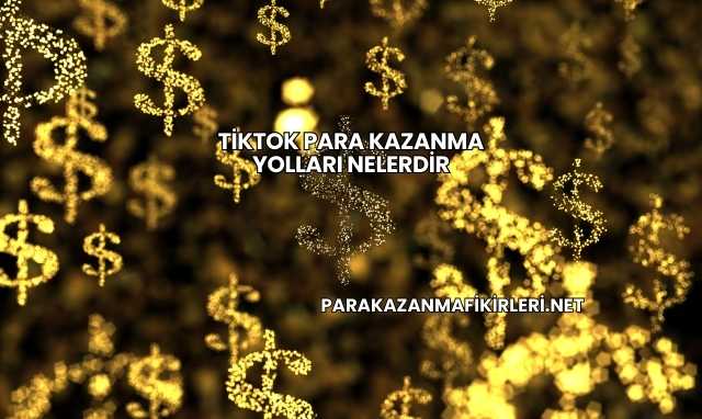 TikTok Para Kazanma Yolları Nelerdir