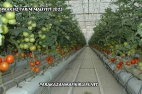 Topraksız Tarım Maliyeti 2025