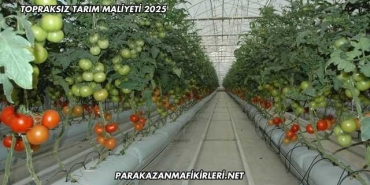 Topraksız Tarım Maliyeti 2025