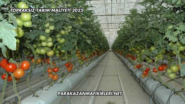 Topraksız Tarım Maliyeti 2025