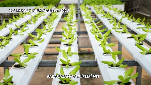 Topraksız Tarım Maliyeti 2025