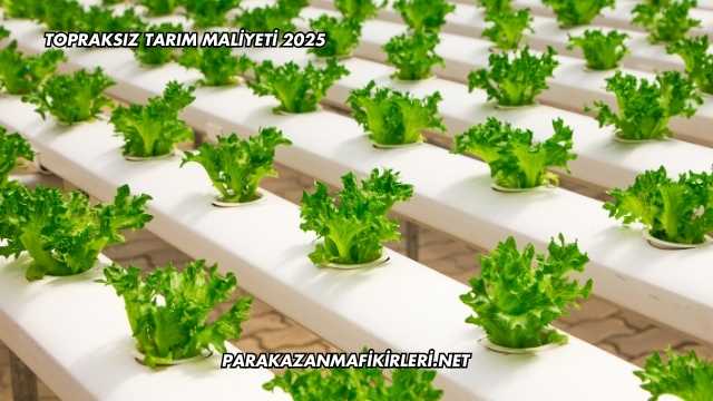 Topraksız Tarım Maliyeti 2025