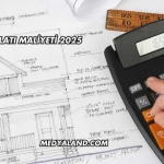 Ev Tadilatı Maliyeti 2025