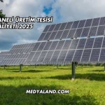 Güneş Paneli Üretim Tesisi Maliyeti 2025