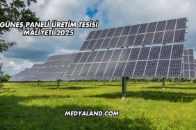 Güneş Paneli Üretim Tesisi Maliyeti 2025