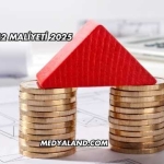 İnşaat M2 Maliyeti