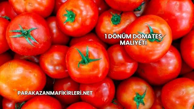 1 Dönüm Domates Maliyeti