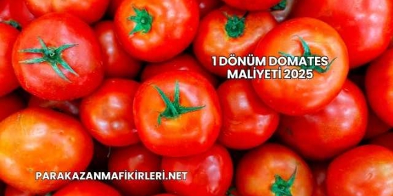 1 Dönüm Domates Maliyeti 2025