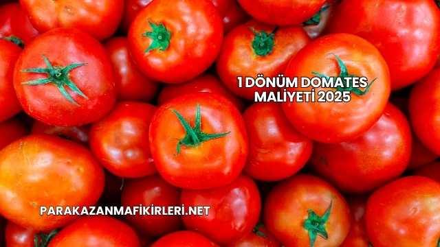 1 Dönüm Domates Maliyeti 2025